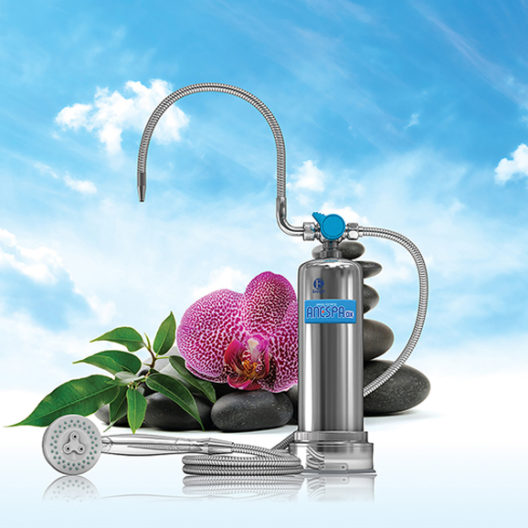 ANESPA DX | YOUR HOME SPA SYSTEM