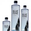BLUE PINE ARTESIAN WATER - IN PET 750ml ( 20 bottles ) - Image 2