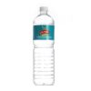 Kingfisher Drinking Water 500 ml [ 500ml *12 Bottles] - Image 2
