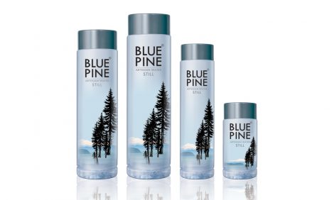 BLUE PINE ARTESIAN WATER – IN PET 500ml ( 24 bottles )