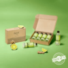 Zenzi Lime Ginger - Sparkling Water [Pack of 4]
