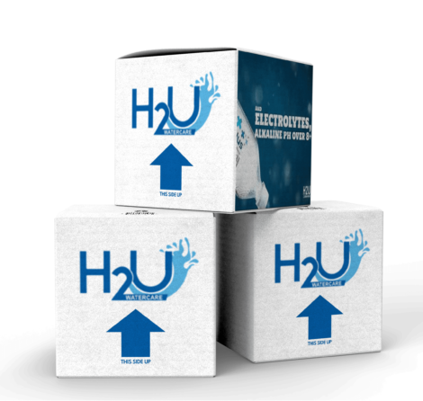 H2U WaterPlus ph 8+ Alkaline Drinking Water 1L (pack of 24bottles)